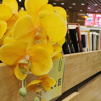 ����Ŀ��ȹ�