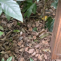 �����ӻ����������������ߵ����ֹ��ӣ��ܶ���һ�������ҿ�