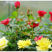 �ٿ����¼�һһ������Ϣ��