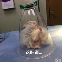 С���������� ���������е�ɰ�[����]