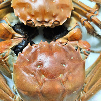��ֻС�зѽ