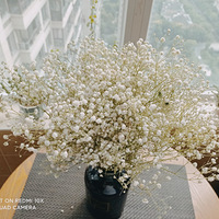 ����С��̨