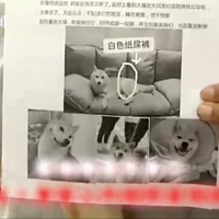 ���������Ӷ�ʧ���ﹷ�����˼��췢��оƬ���ڡ�����������˵