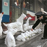 �����Ǹ���ѩ�˺��ȫ�������б�������ʼ�������