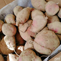 ֪������ʲô��
