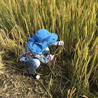 ������ĩ