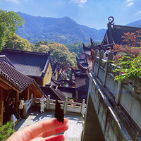 ��Ե���󰲷ɵ�ָ��ͣ�������ɾ���