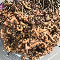 ��˵�η�ʪ����������˵��