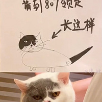 ���棡�⼸λ�����µ�С���߽���ӦƸ�����[����] �÷������