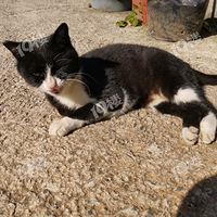 ͵�ø���������