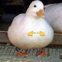 ����һ�����¾͹����ˣ���������