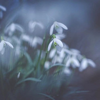 �����ܺ�����Ÿɣ����������ġ����桱������Զ��Ϊ���˺ø�ĸ