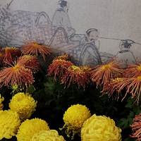 ��ǿ���κ�һ����ϵ����ʹ�����⣬һ��˳����Ȼ����