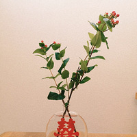 ���۶���Ϊ��װ�λ�ƿ����ʵ���Ҷ��Ƶ�ϲ��ƿ