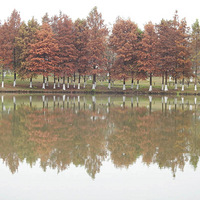 �����ˮɼ��