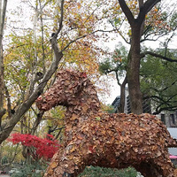 ��#���а�#�ҵ�2020����Ҷ�ѻ��ĵ��ܡ���Ҷװ�ã�Ҳ������