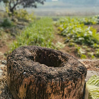 ������������.