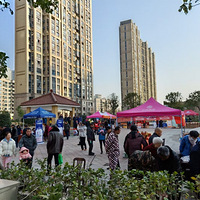 ��#���а�#�ҵ�2020�����춬�������������꡿��Բˮ������