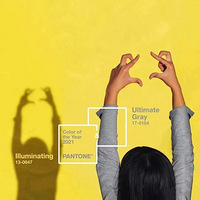 ���������ɫ���ƺͻң���������һ�׻�������