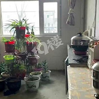 ɽŮʧ룺յı󣬵ʲô