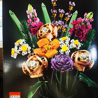 �������ָ����¿�