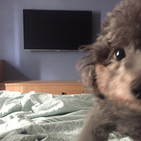 ��ҵĶ�������ů~~