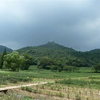 ���ӣ���������