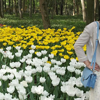 ����û�о�