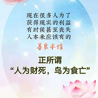 �������������Ұ�����