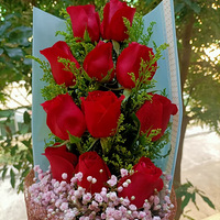 ��ů���¡�+���һ������ֻ��һ�̣�