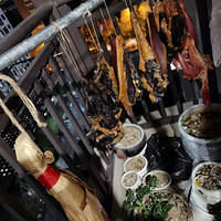 ����ҹ��꡿+˵һǧ��һ������Һ�