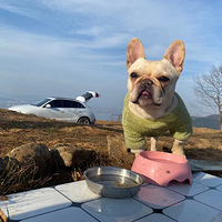 ţ�����죡�������