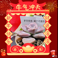 ������[����]