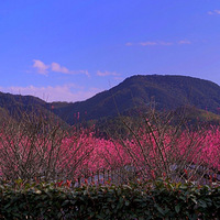 ���ż�/��ҹ��꡿2021һ���������