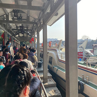 ����һ���������Ų�һ��������