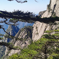 �����ã���ɽ����һ�Ķ��Ǻþ����������������