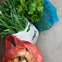 ���żҹ��꡿+һ���˿��ľͺ�