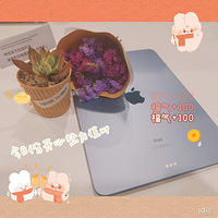 ipad����ë�����ָ��