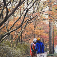 ����һС�����³�����������8�ɣ���ҵȴ��ô����ͬ���⻧ͣ��