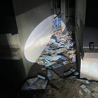 ����85���̾������ֳ���7¥׹�䣬Ŀǰ������֢�໤��