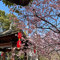 ���ݵر��Գ������������Զ��ά�ޣ��к��Ӳ�����ȥ����