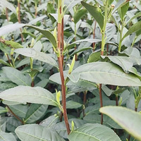 2021��3��14�գ������������ط�������֤���������