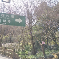 �������߿���