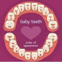 ��������Ҫ���Լ����Ԥ��ȣ��