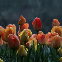 ������Ҫ��һ���꣬һֱ�����ܣ���һ�����׿������Ͼ͵�