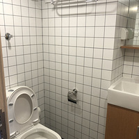 ��ƽ��ʫ������װ�޵�����Ԣ����