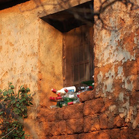 �һ����滨��ʢ���ţ���׺�˺�ש���ߣ���Ȼ֮��ʤ���˹��������