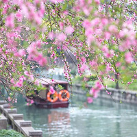 ��Ķ��ɫ������������ţ�������Щ�ط��Ĵ�ɫ����Ĺز�ס��