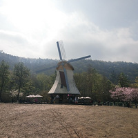 ������������