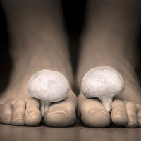 ��ЩƤ�����ⶬ�첻�ܣ��ѵ���Ҫ����ȥ���ꣿ